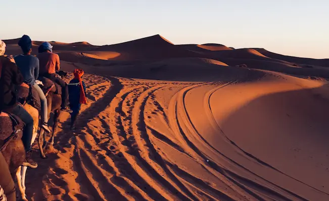 Travelers riding camels across the Arabian desert at sunset, a cultural experience in Saudi Arabia as part of a luxury tour by Shin Tours.